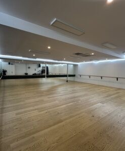 La Fiesta Dance Factory Fun Dance Classes in Sydney NSW Room 6